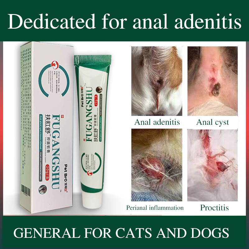 Pet dog anal adenitis care ointment perianal redness and abscess cat buttock itching 20g