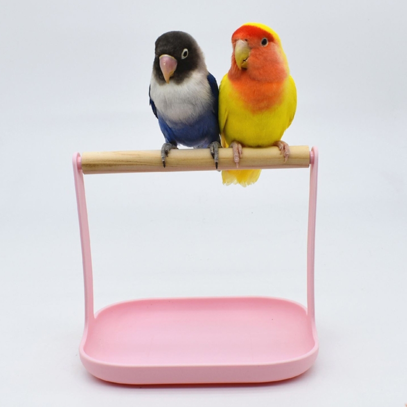 Bird Training Stand Portable Tabletop Parrot Natural Wood Perch for Small Medium Parakeet Finch Canary African Grey